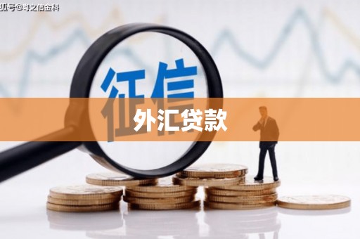 孟村外汇贷款