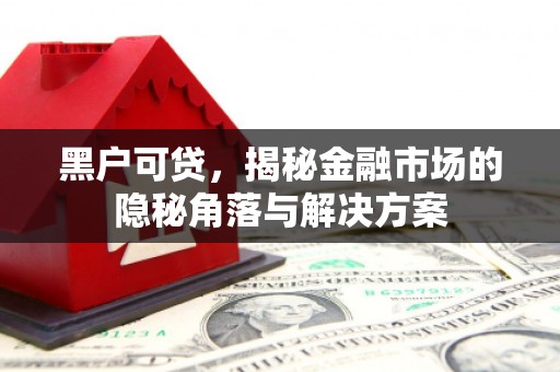 孟村黑户可贷，揭秘金融市场的隐秘角落与解决方案
