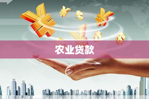 孟村农业贷款