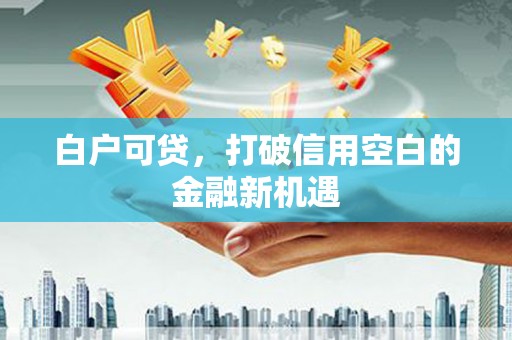 孟村白户可贷，打破信用空白的金融新机遇