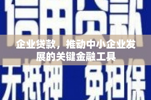 孟村企业贷款，推动中小企业发展的关键金融工具