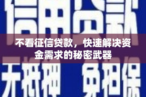 孟村不看征信贷款，快速解决资金需求的秘密武器