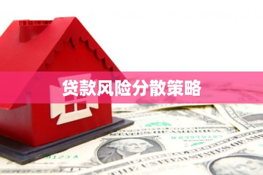 孟村贷款风险分散策略