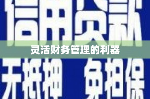 孟村灵活财务管理的利器