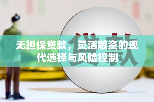 孟村无担保贷款，灵活融资的现代选择与风险控制
