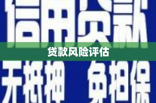 孟村贷款风险评估