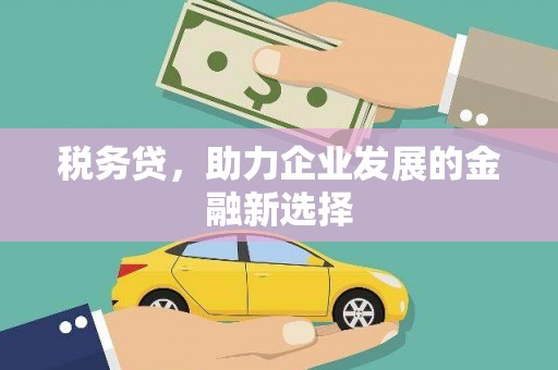 孟村税务贷，助力企业发展的金融新选择