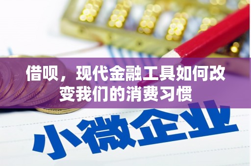 孟村借呗，现代金融工具如何改变我们的消费习惯