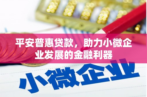 孟村平安普惠贷款，助力小微企业发展的金融利器