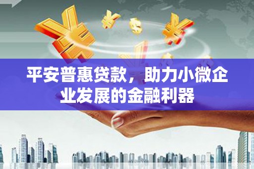 孟村平安普惠贷款，助力小微企业发展的金融利器