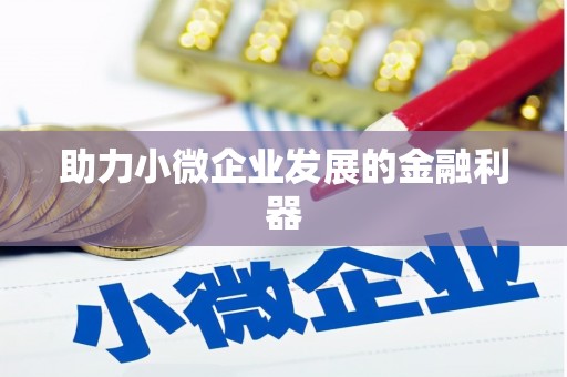孟村助力小微企业发展的金融利器