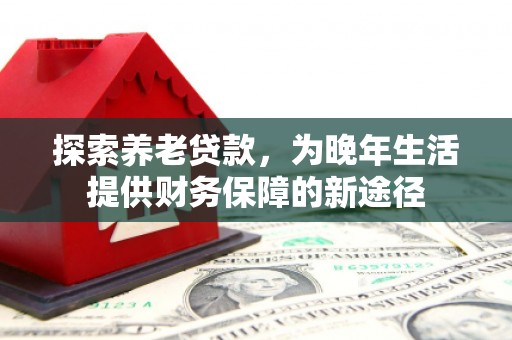 孟村探索养老贷款，为晚年生活提供财务保障的新途径