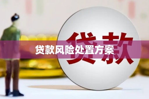 孟村贷款风险处置方案