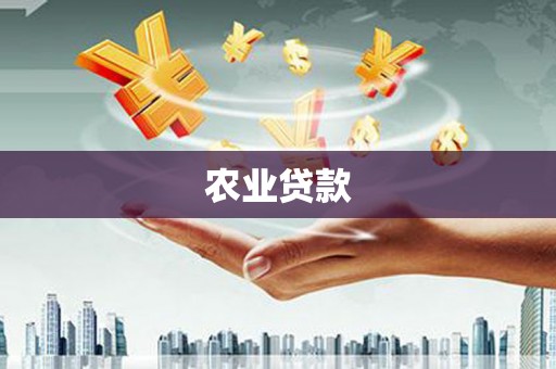 孟村农业贷款