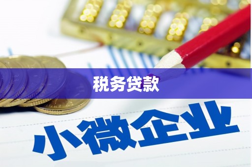 孟村税务贷款
