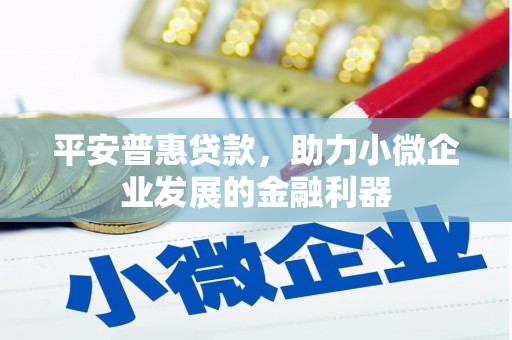 孟村平安普惠贷款，助力小微企业发展的金融利器