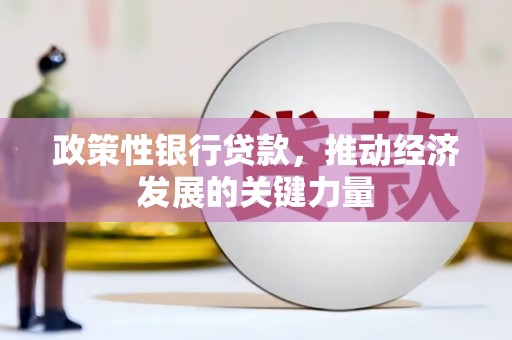 孟村政策性银行贷款，推动经济发展的关键力量
