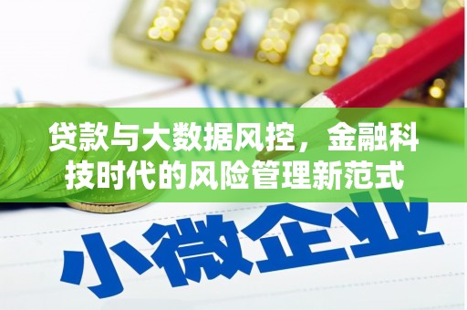 孟村贷款与大数据风控，金融科技时代的风险管理新范式