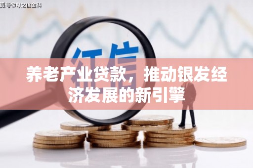 孟村养老产业贷款，推动银发经济发展的新引擎