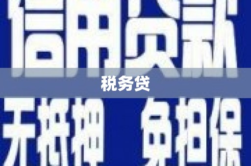 孟村税务贷