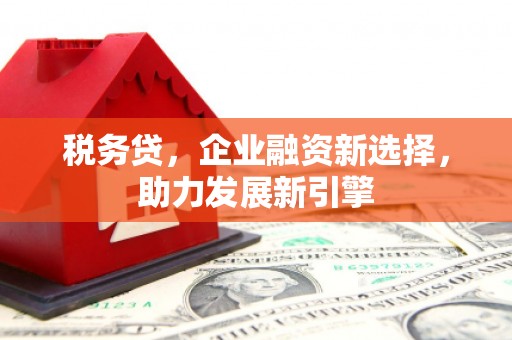 孟村税务贷，企业融资新选择，助力发展新引擎