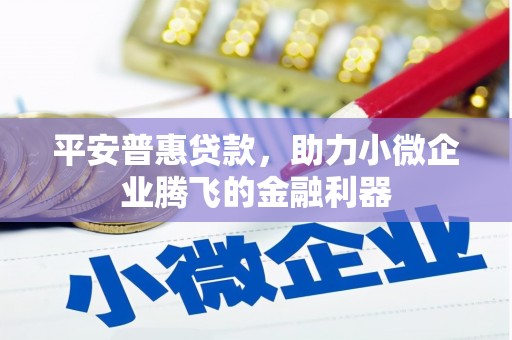 孟村平安普惠贷款，助力小微企业腾飞的金融利器