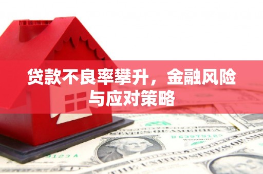 孟村贷款不良率攀升，金融风险与应对策略