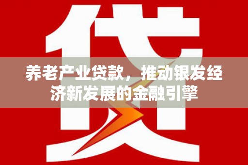 孟村养老产业贷款，推动银发经济新发展的金融引擎