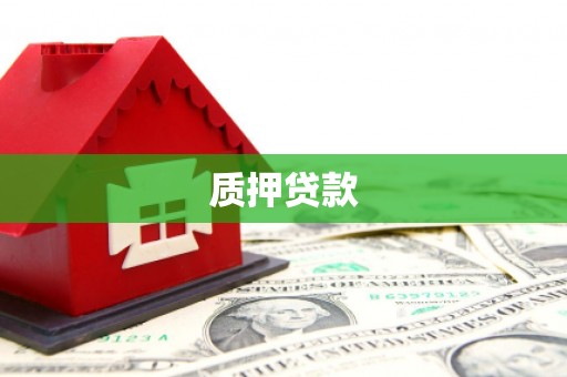 孟村质押贷款
