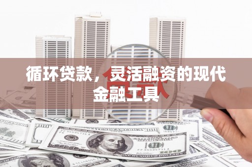 孟村循环贷款，灵活融资的现代金融工具