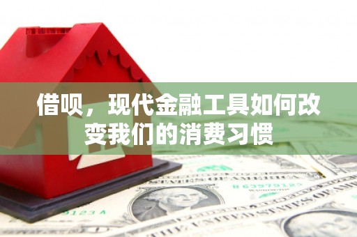孟村借呗，现代金融工具如何改变我们的消费习惯