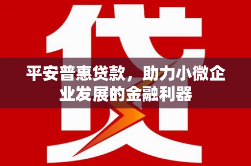 孟村平安普惠贷款，助力小微企业发展的金融利器