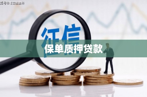 孟村保单质押贷款