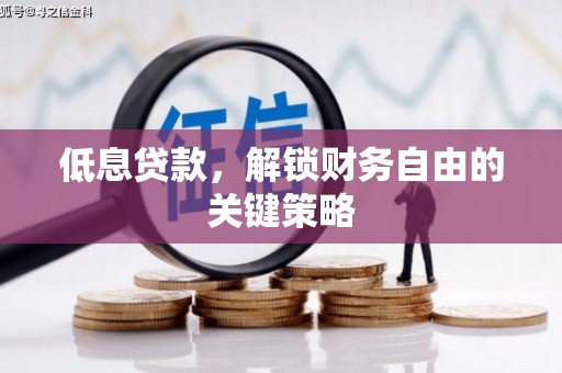 孟村低息贷款，解锁财务自由的关键策略