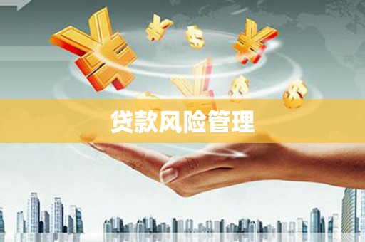 孟村贷款风险管理