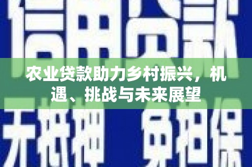孟村农业贷款助力乡村振兴，机遇、挑战与未来展望