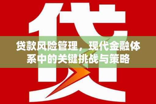 孟村贷款风险管理，现代金融体系中的关键挑战与策略