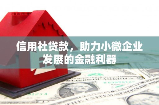 孟村信用社贷款，助力小微企业发展的金融利器