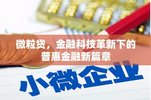 孟村微粒贷，金融科技革新下的普惠金融新篇章