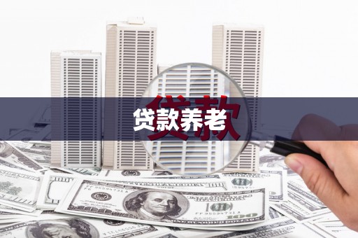 孟村贷款养老