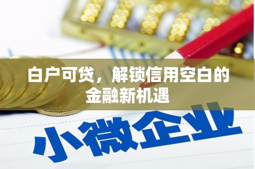 孟村白户可贷，解锁信用空白的金融新机遇