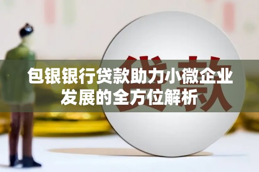 孟村包银银行贷款助力小微企业发展的全方位解析