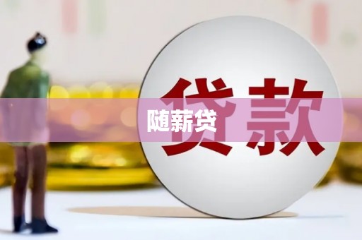 孟村随薪贷