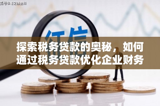 孟村探索税务贷款的奥秘，如何通过税务贷款优化企业财务