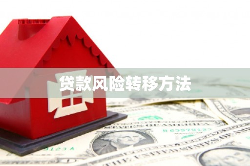 孟村贷款风险转移方法
