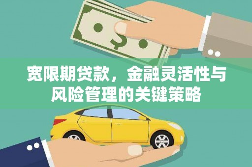 孟村宽限期贷款，金融灵活性与风险管理的关键策略