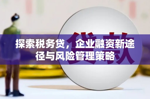 孟村探索税务贷，企业融资新途径与风险管理策略