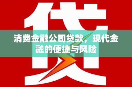 孟村消费金融公司贷款，现代金融的便捷与风险