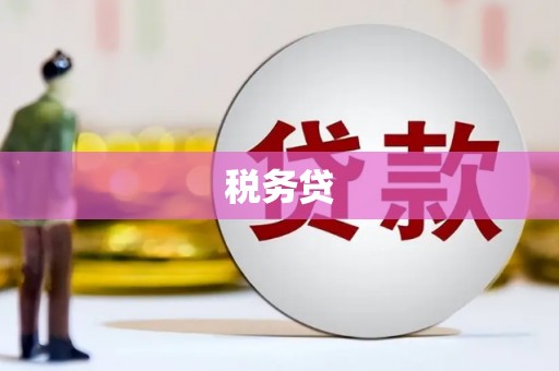 孟村税务贷