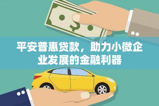 孟村平安普惠贷款，助力小微企业发展的金融利器